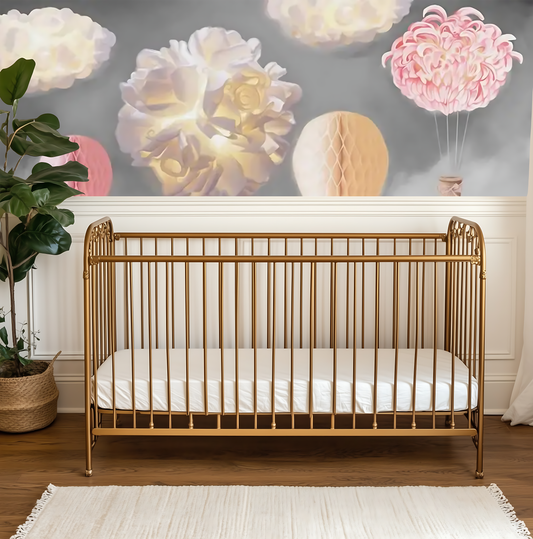 Hot Air Balloon Bedroom Mural
