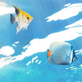 Underwater fish frenzy reef mural wallpaper – design detail